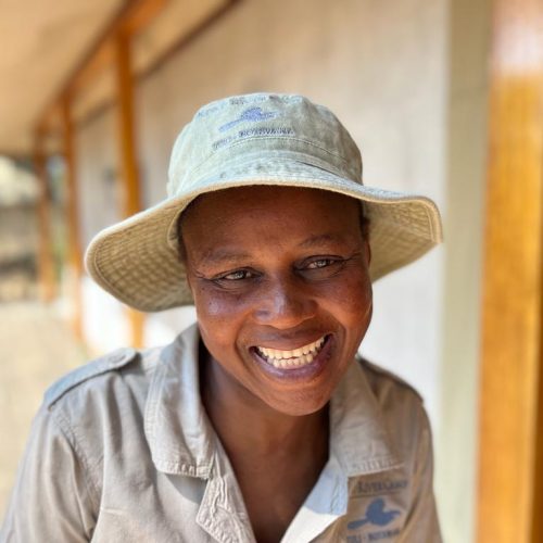 Sylvia, Front of House